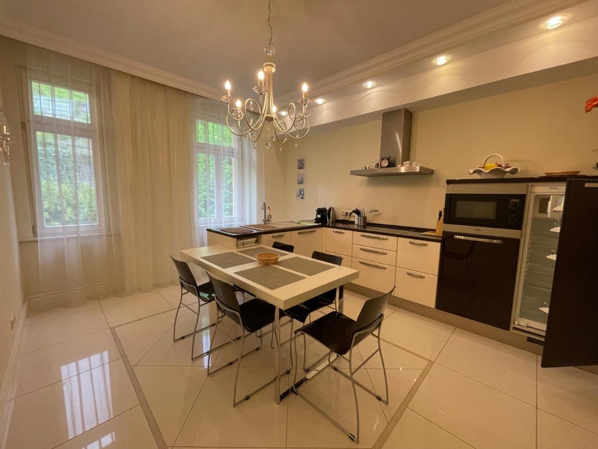 Apartma Premium Karlovy Vary Ngoại thất bức ảnh
